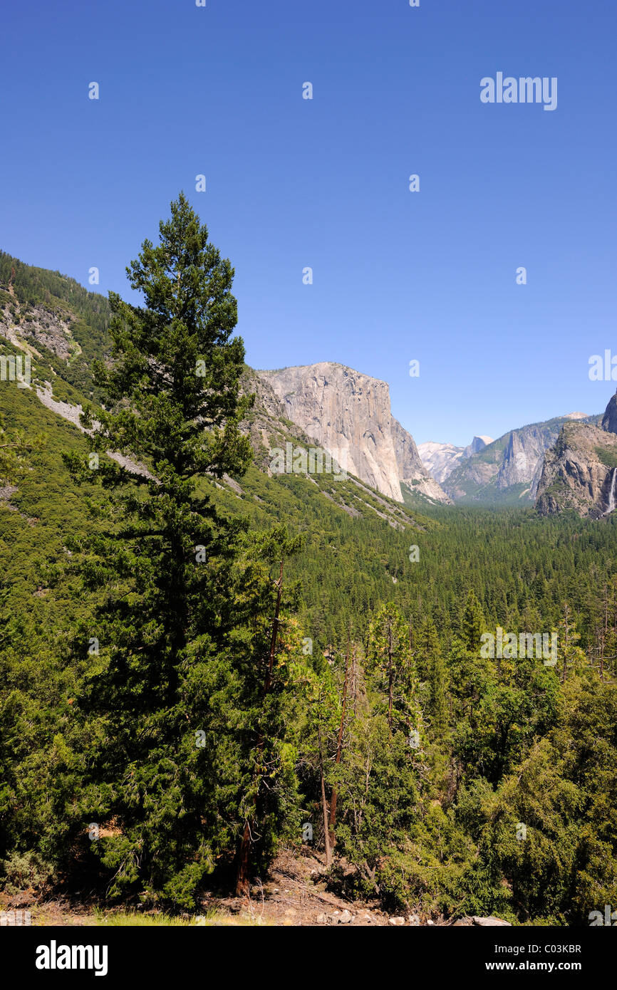 Typische Landschaft mit dem Merced River im Yosemite-Nationalpark, Kalifornien, USA, Nordamerika Stockfoto