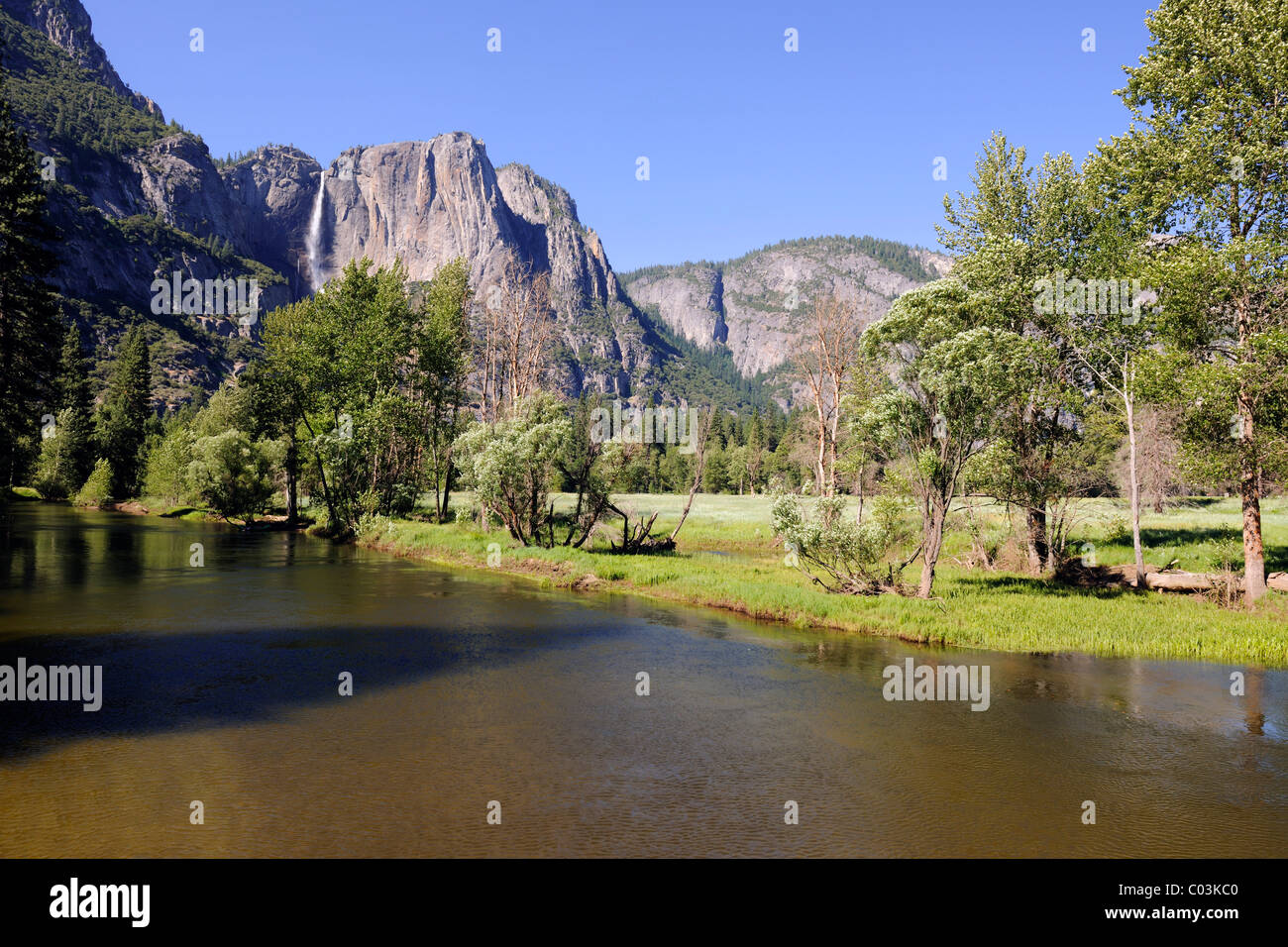 Typische Landschaft mit dem Merced River im Yosemite-Nationalpark, Kalifornien, USA, Nordamerika Stockfoto