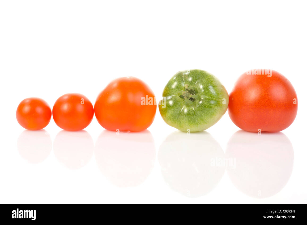 Verschiedene Größe Tomaten in einer Reihe Stockfoto