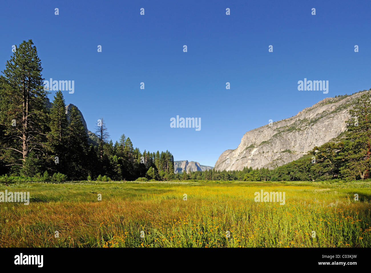 Typische Landschaft in Yosemite Nationalpark, Kalifornien, USA, Nordamerika Stockfoto