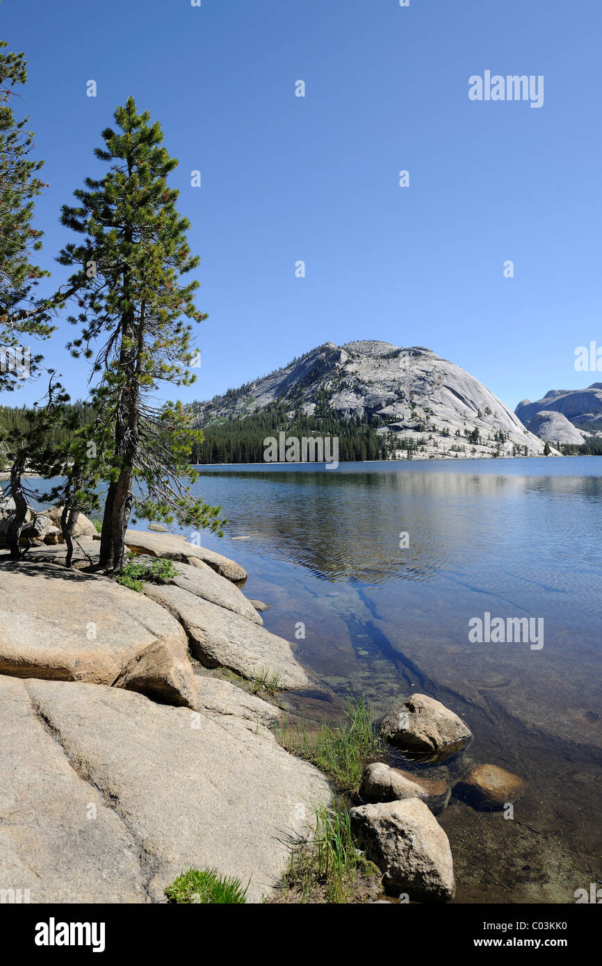 Am frühen Morgen am Tenaya See im Yosemite-Nationalpark, Kalifornien, USA, Nordamerika Stockfoto