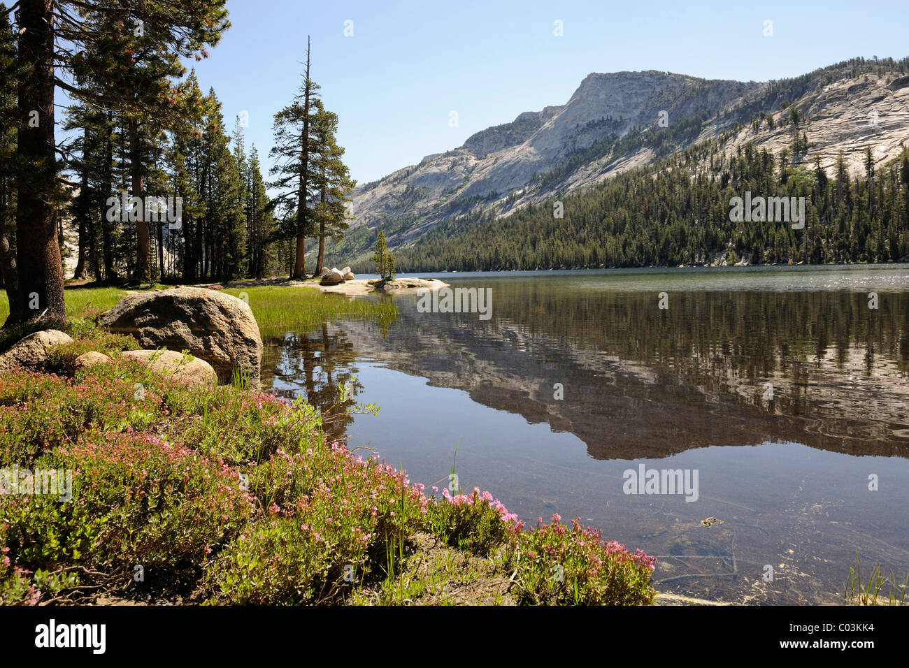 Am frühen Morgen am Tenaya See im Yosemite-Nationalpark, Kalifornien, USA, Nordamerika Stockfoto