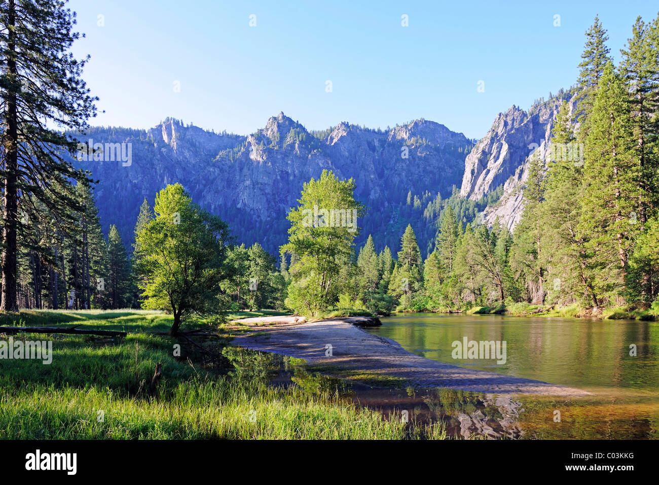 Typische Landschaft in der früh mit Merced River im Yosemite-Nationalpark, Kalifornien, USA, Nordamerika Stockfoto