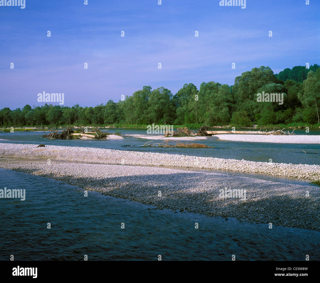 Isar Fluss Isar Feuchtgebiete, Pupplinger Au, Wolfratshausen, Upper Bavaria, Bayern, Deutschland, Europa Stockfoto