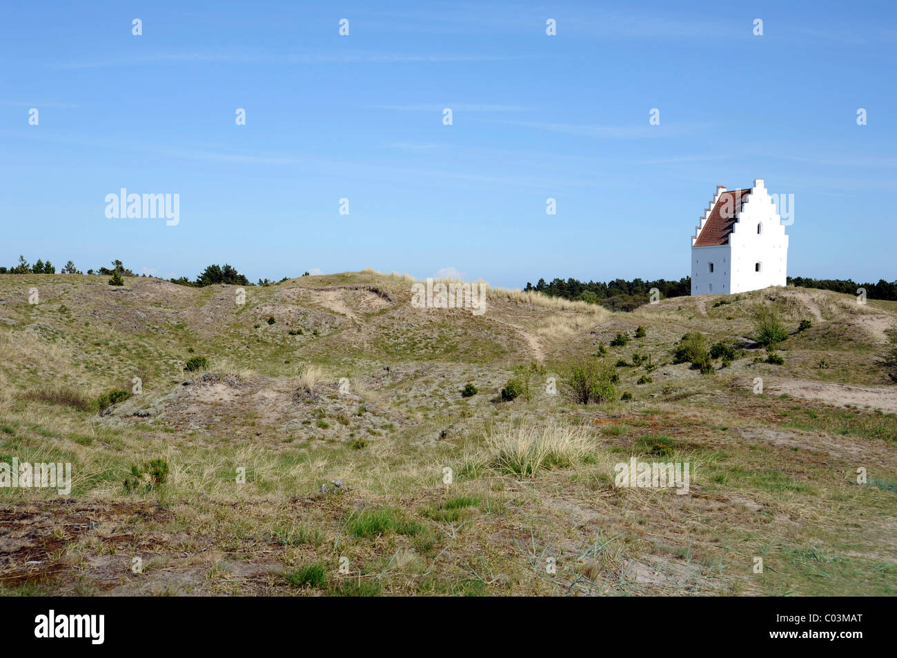 Dünen an der Umdrehung von Sand verschlungen Buried Kirche, Skagen, Jütland, Dänemark, Europa Stockfoto