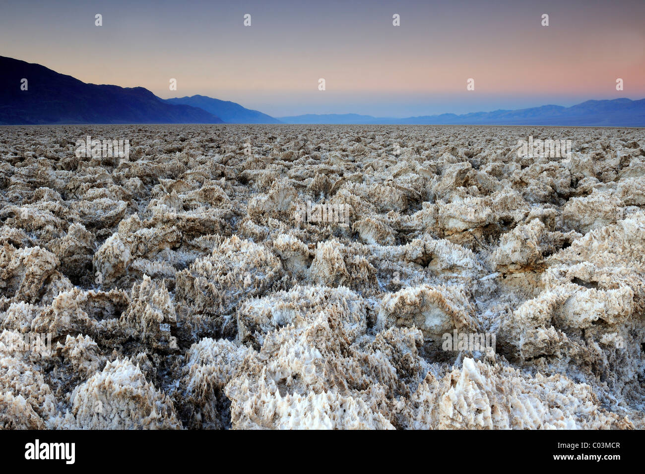 Des Teufels Golf Course at Dawn, Death Valley Nationalpark, Kalifornien, USA, Nordamerika Stockfoto