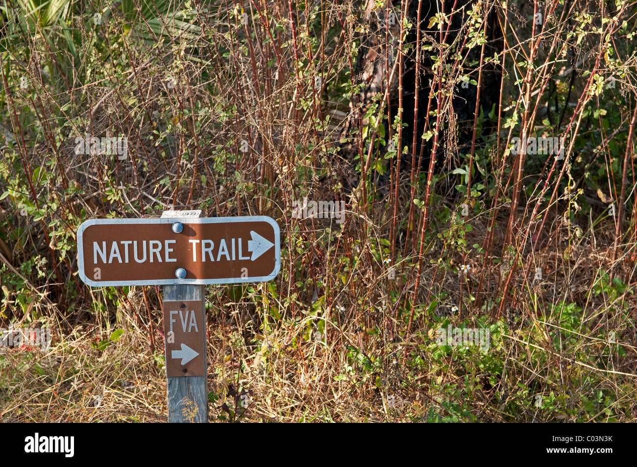 Naturlehrpfad Sign. Honeymoon Island, Florida, USA Stockfoto