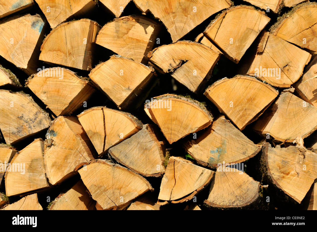 Hintergrund der Querschnitt des Holzes Stockfoto