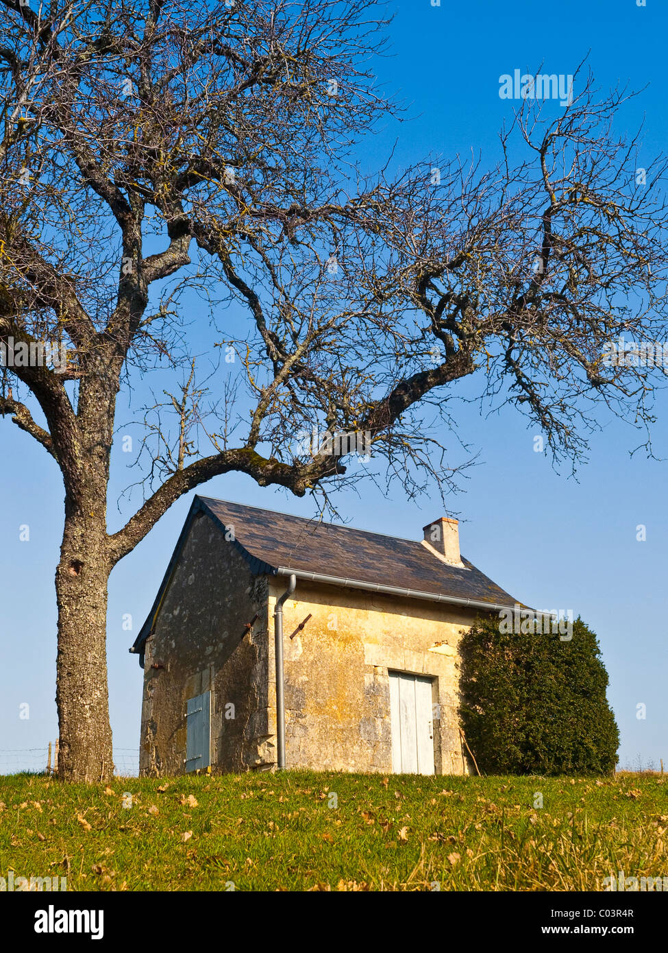 Des kleinen Hirten Haus am Hügel-Frankreich. Stockfoto