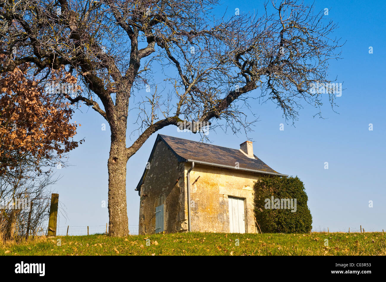 Des kleinen Hirten Haus am Hügel-Frankreich. Stockfoto