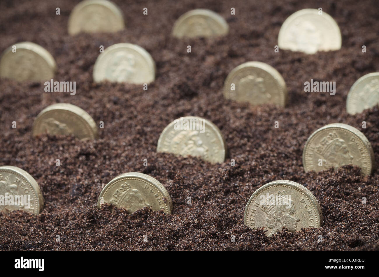 Britische Pfund-Münzen "wachsen" in Erde Stockfoto