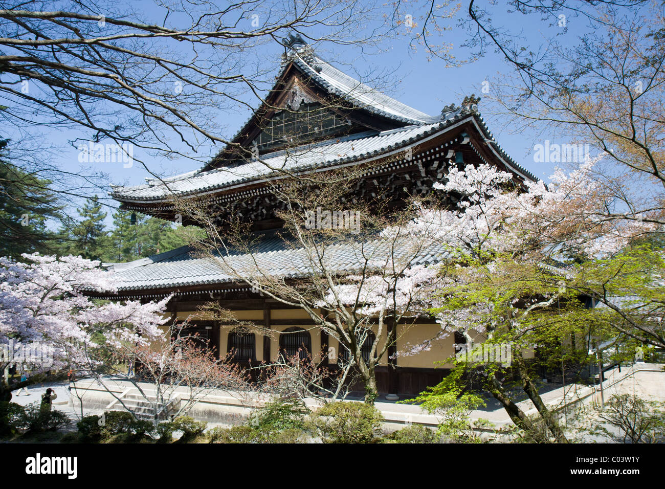 Japanischer Tempel hinter einem Vordergrund Bäume Stockfoto