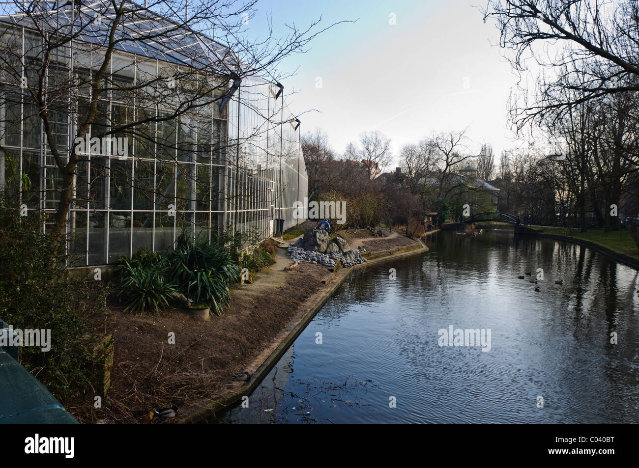 Hortus Botanicus Amsterdam, Botanische Haus, Amsterdam Stockfoto