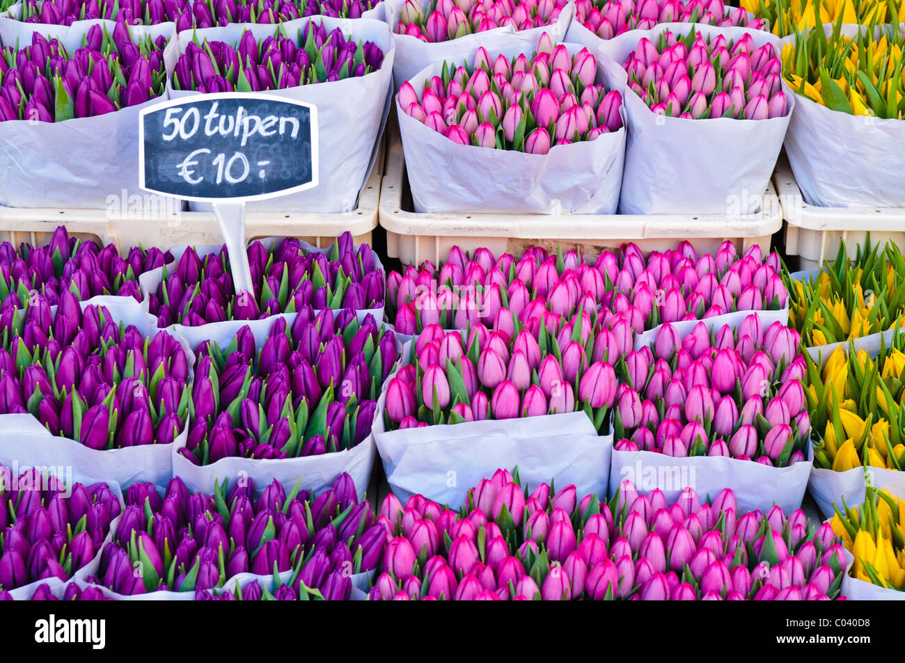 Tulpen zum Verkauf an der Bloemenmakrt Blumenmarkt in Amsterdam Stockfoto