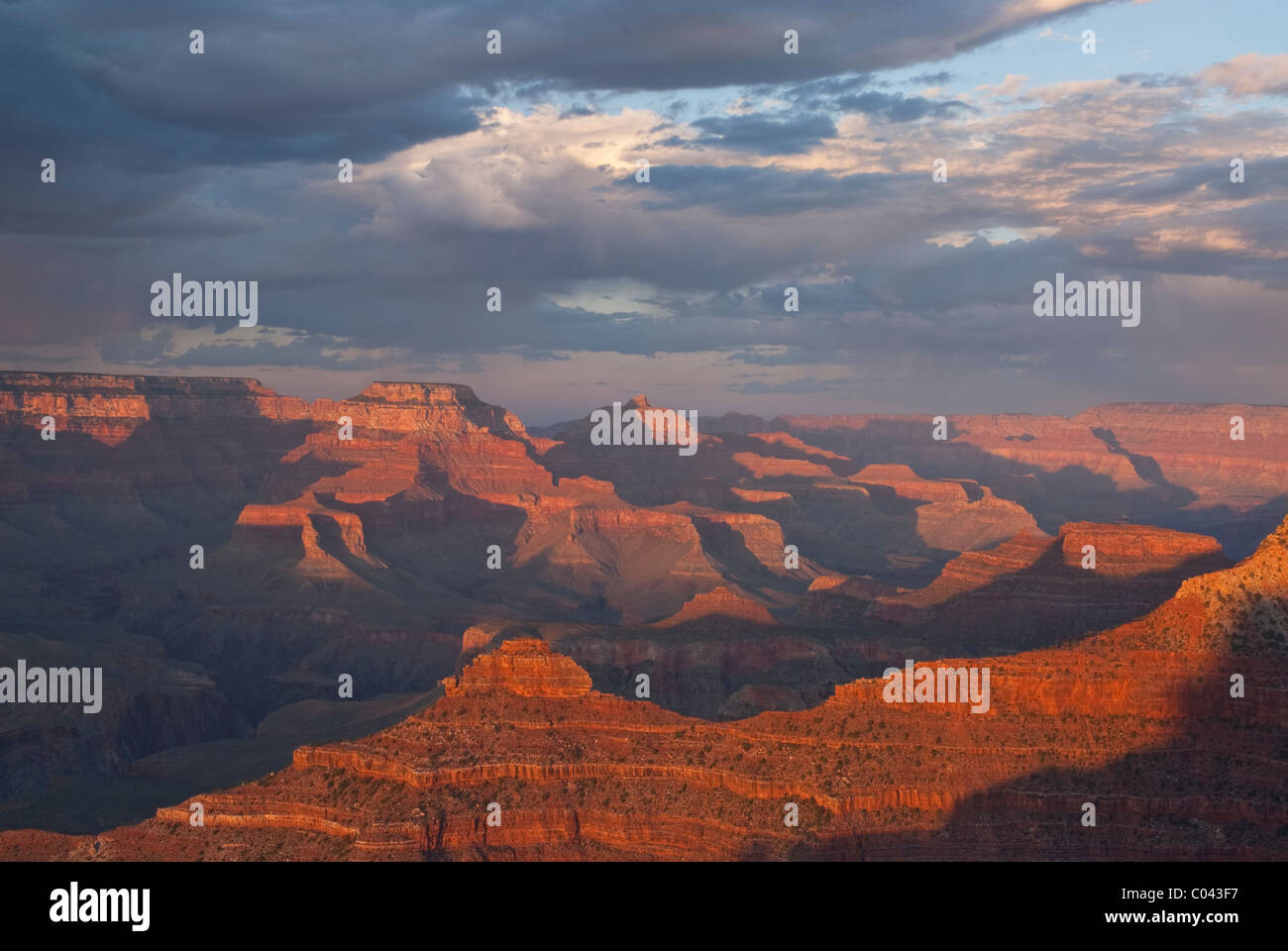 Grand-Canyon-Nationalpark Stockfoto