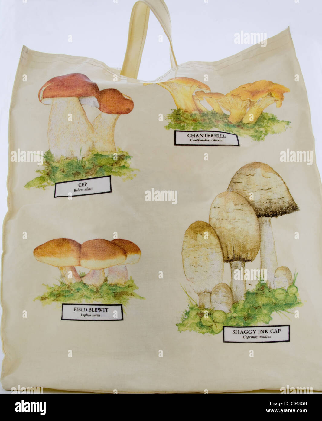 Nahaufnahme der großen Creme beschichtete Plastiktüte mit Bildern von Pilzen Stockfoto