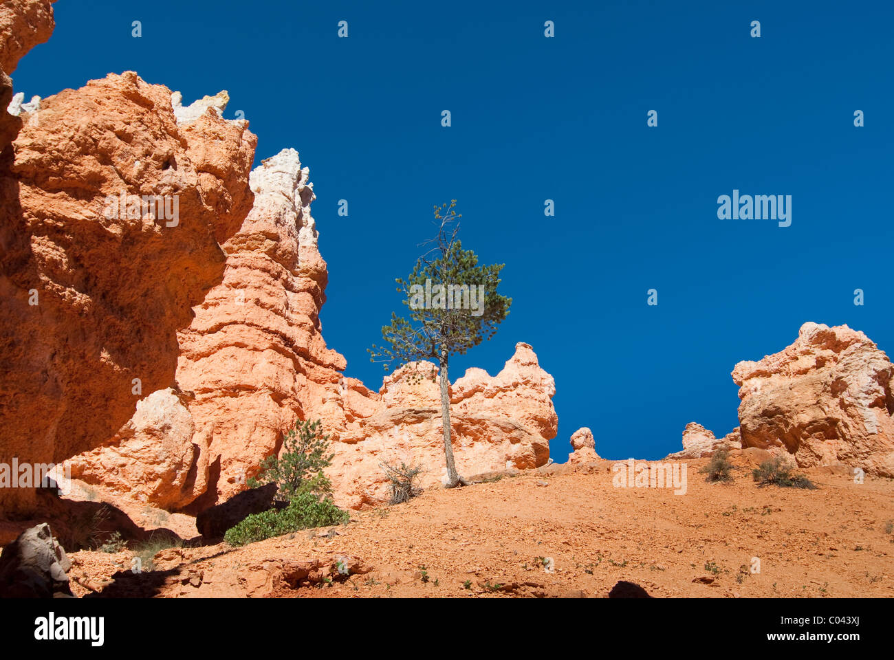 Ansicht der Bryce-Canyon-Nationalpark Stockfoto