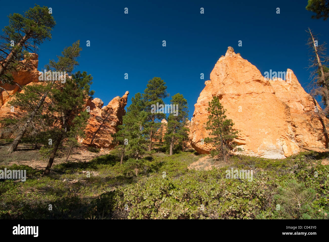 Ansicht der Bryce-Canyon-Nationalpark Stockfoto