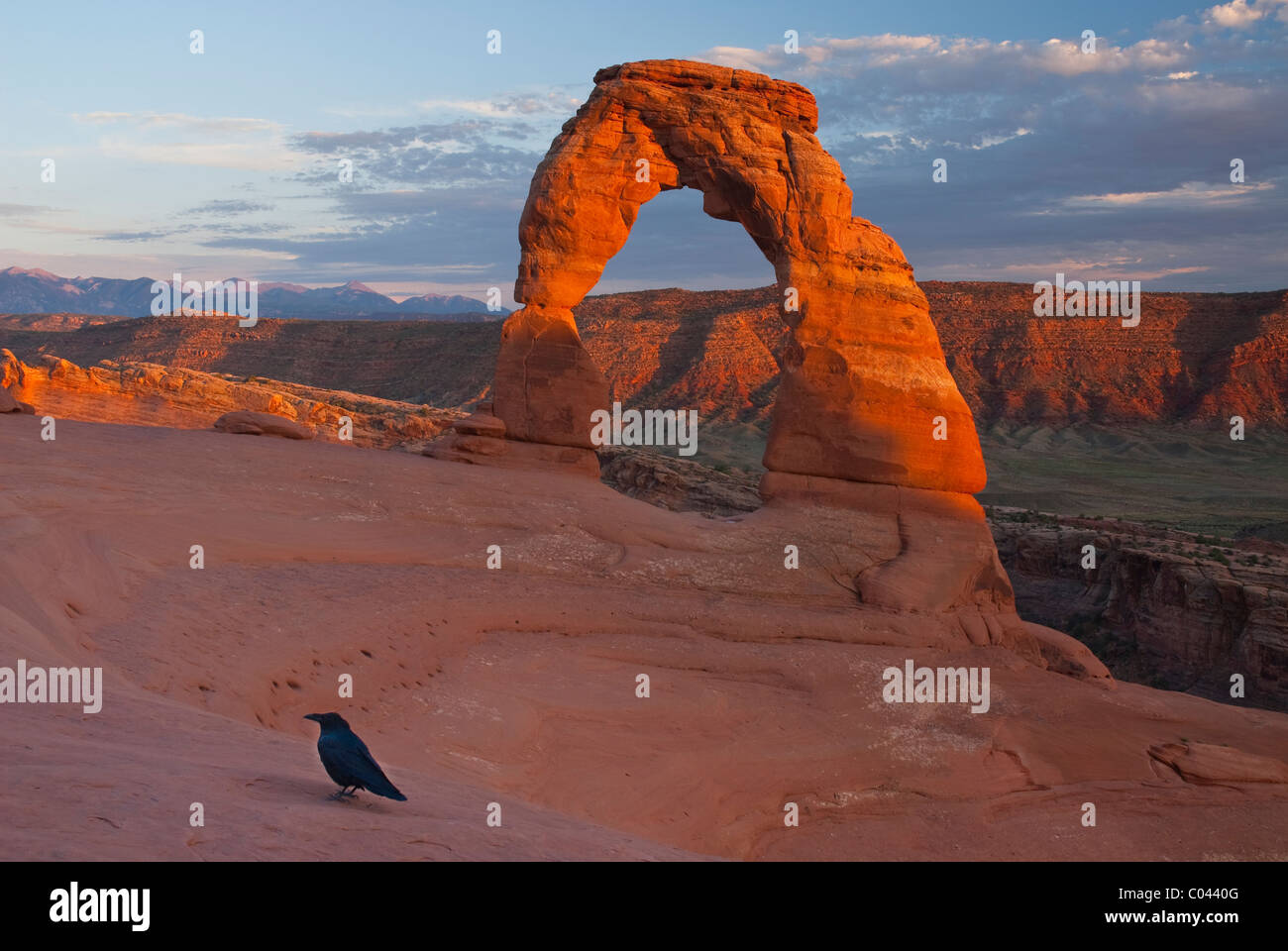 Welt berühmt Delicate Arch im Arches National Park Stockfoto