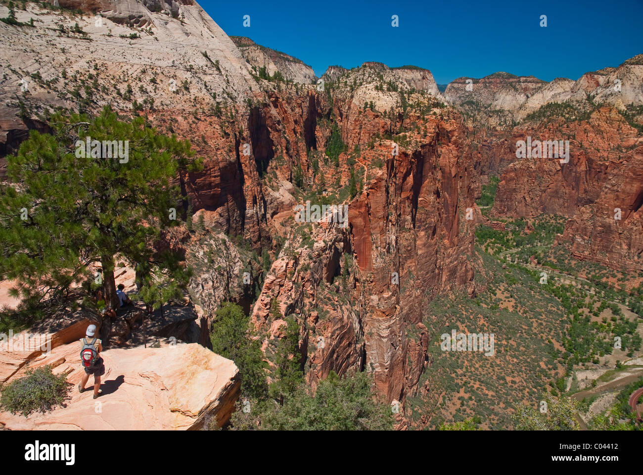 Blick vom oberen Rand Engelss Landing Trail im Zion Nationalpark, Utah Stockfoto