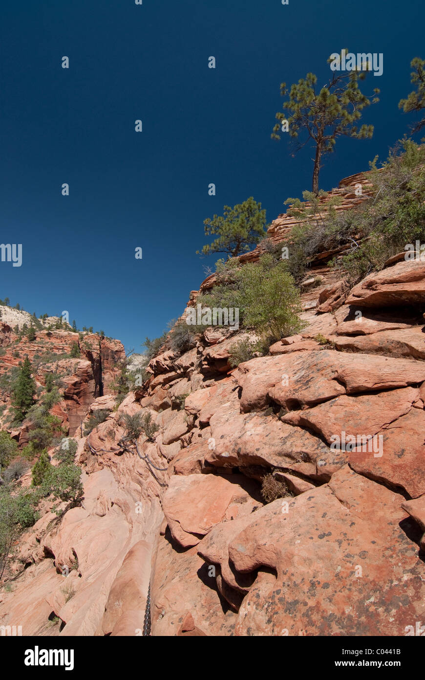 Bunten Felsformationen entlang des Engels Landing im Zion Nationalpark, Utah Stockfoto