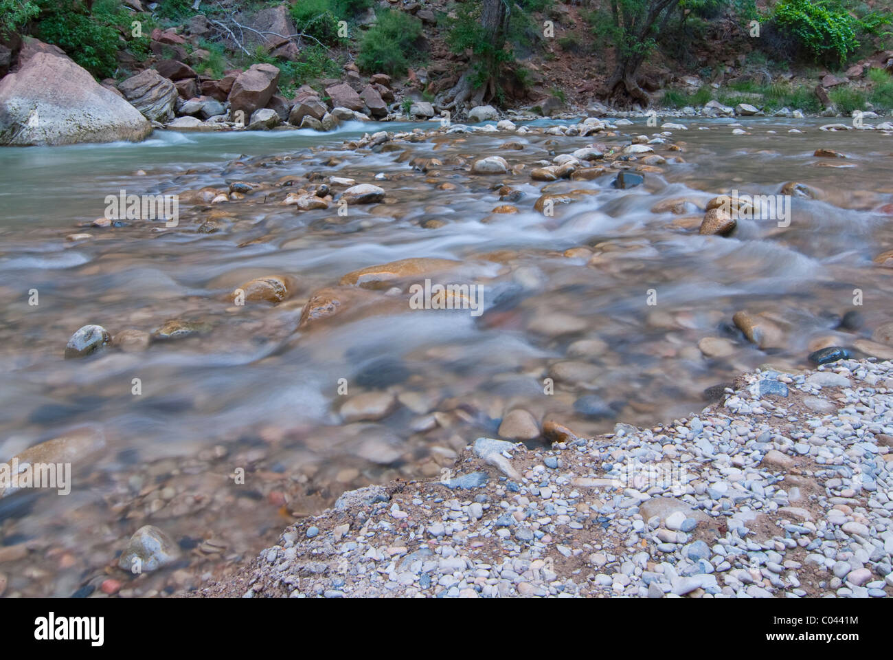 Fluss im Zion National Park Stockfoto