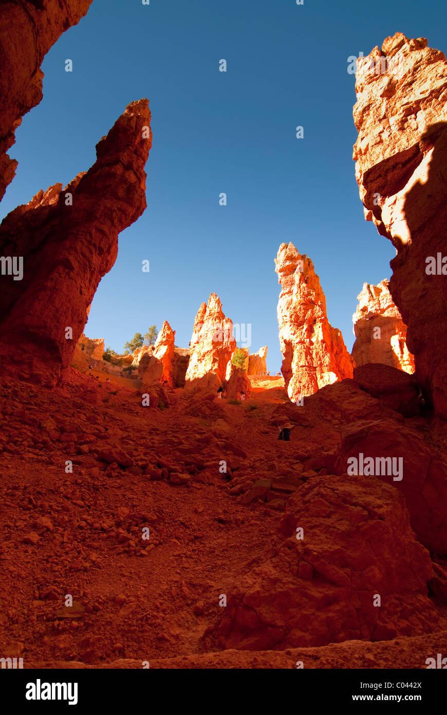 Ansicht der Bryce-Canyon-Nationalpark Stockfoto