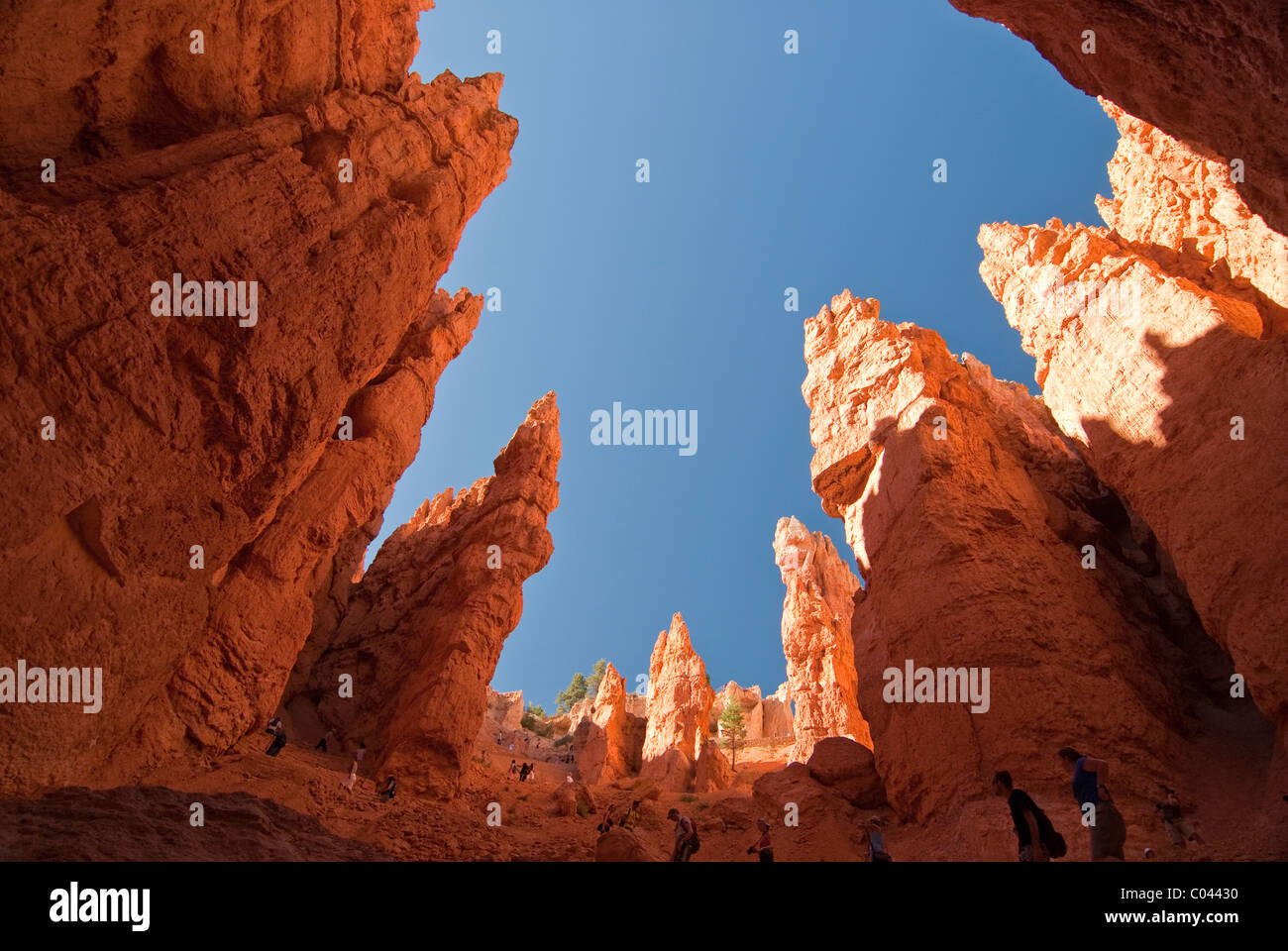 Ansicht der Bryce-Canyon-Nationalpark Stockfoto