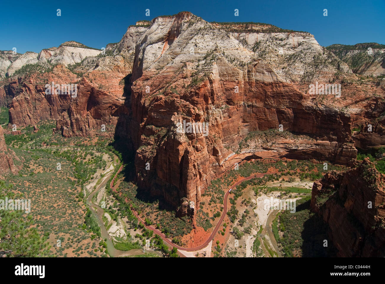 Der schöne Engel Klettersteig Landung im Zion National Park Stockfoto