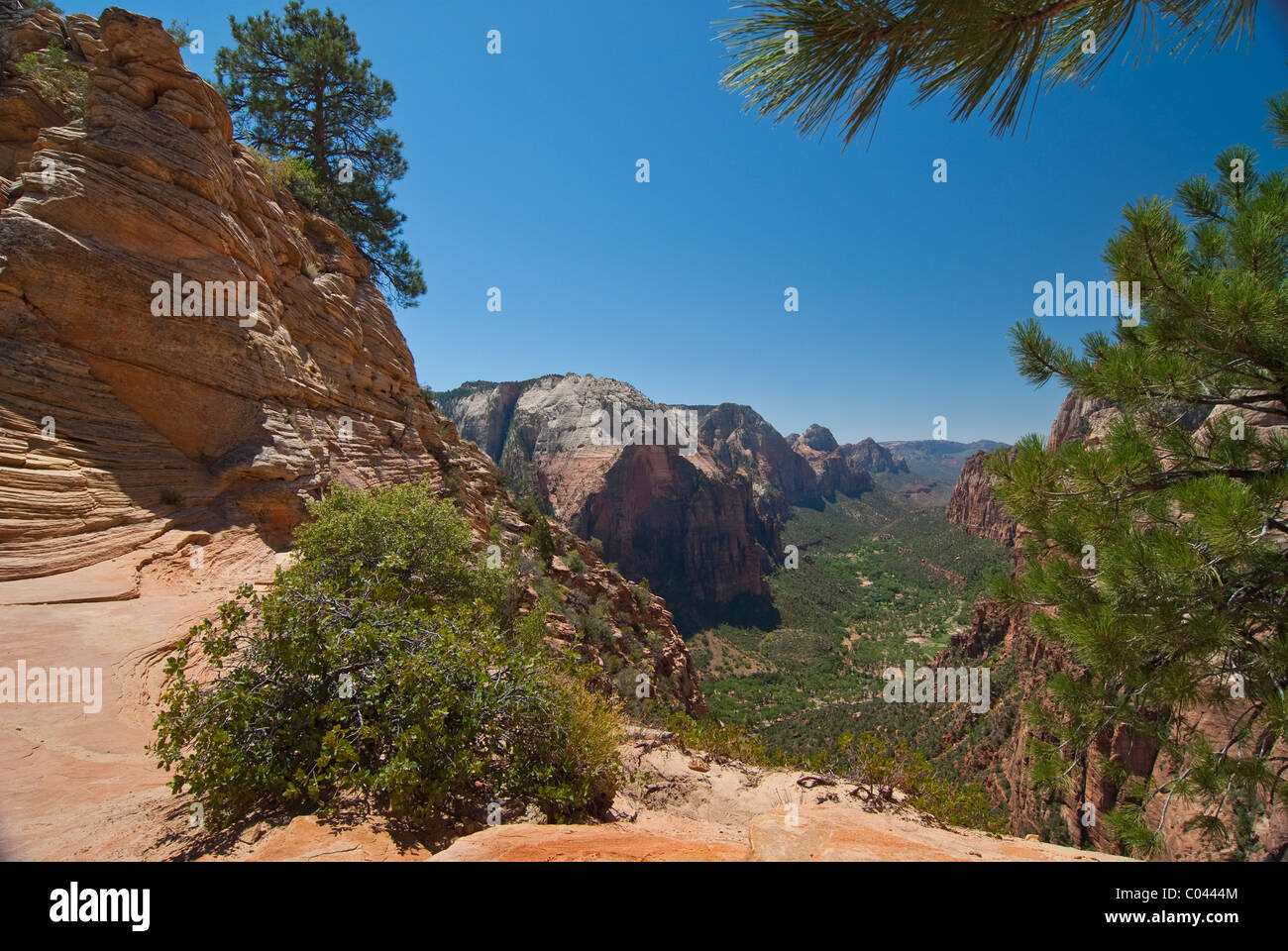 Der schöne Engel Klettersteig Landung im Zion National Park Stockfoto