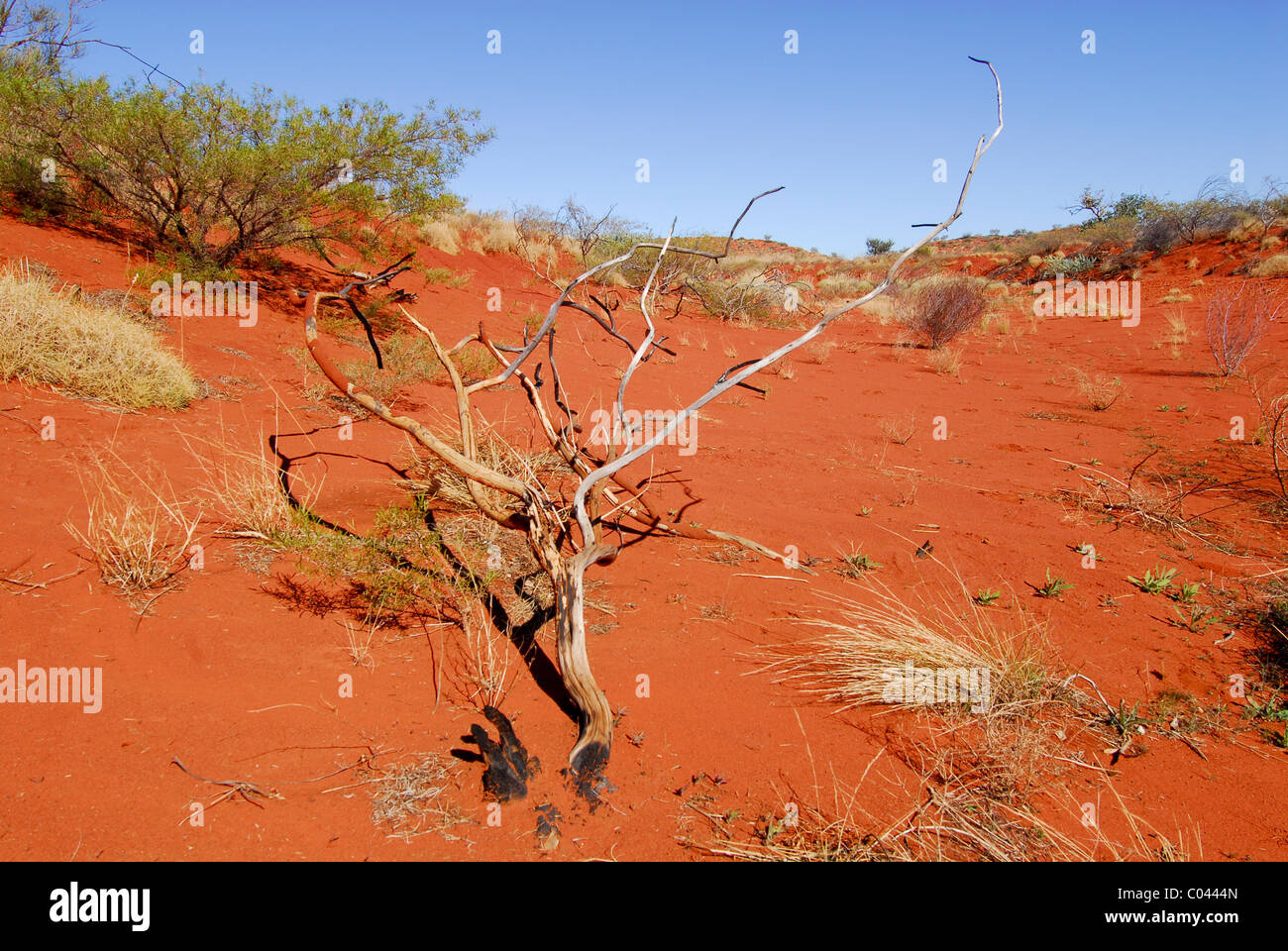 Rote Erde im Bereich Karijini von Western Australia Stockfoto