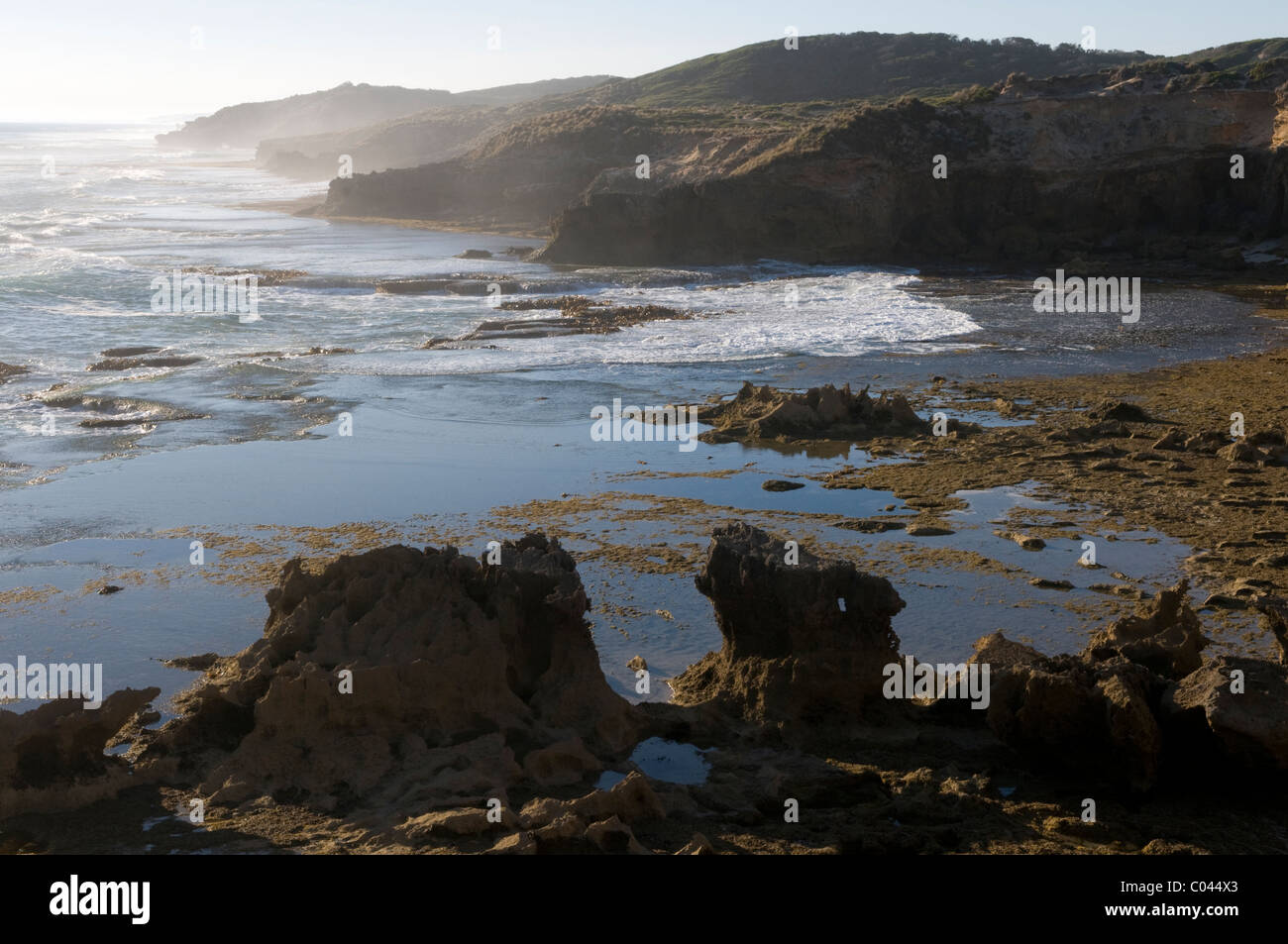 Klippen und Küsten, Blairgowrie, Mornington Peninsula, Victoria, Australien Stockfoto
