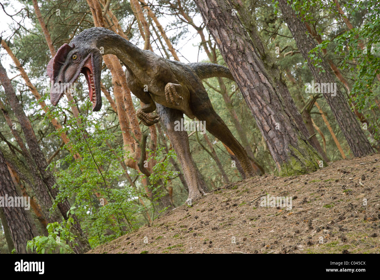 Dinosaurier im Themenpark - Dilophosaurus Stockfoto