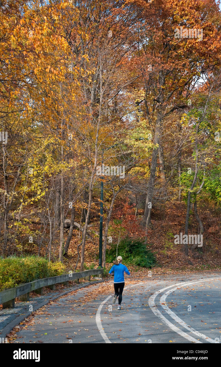 Frau läuft in der North Woods von Central Park im Herbst Stockfoto
