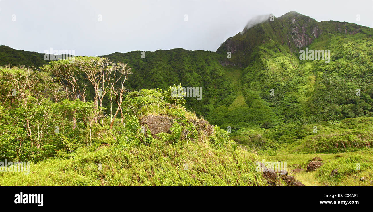 Mount Liamuiga - St. Kitts Stockfoto