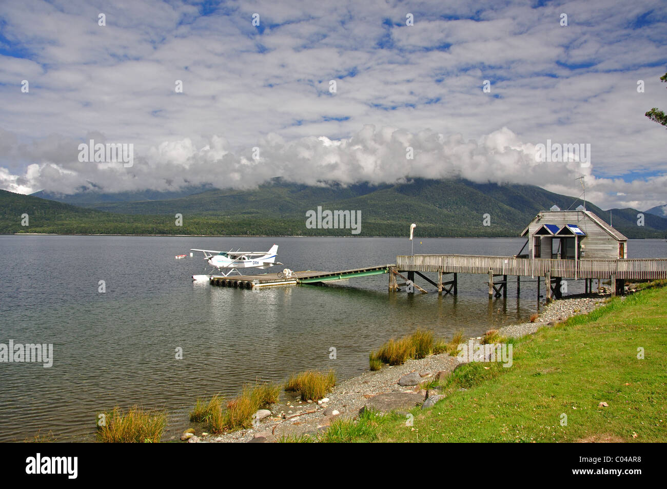 Vorland am Lake Te Anau, Te Anau, Region Southland, Südinsel, Neuseeland Stockfoto