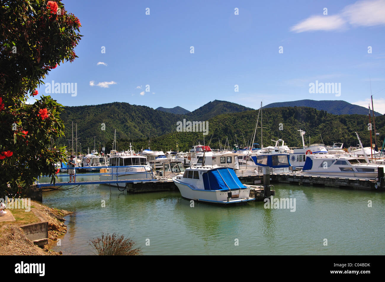 Havelock Marina, Havelock, Marlborough Region, Südinsel, Neuseeland Stockfoto