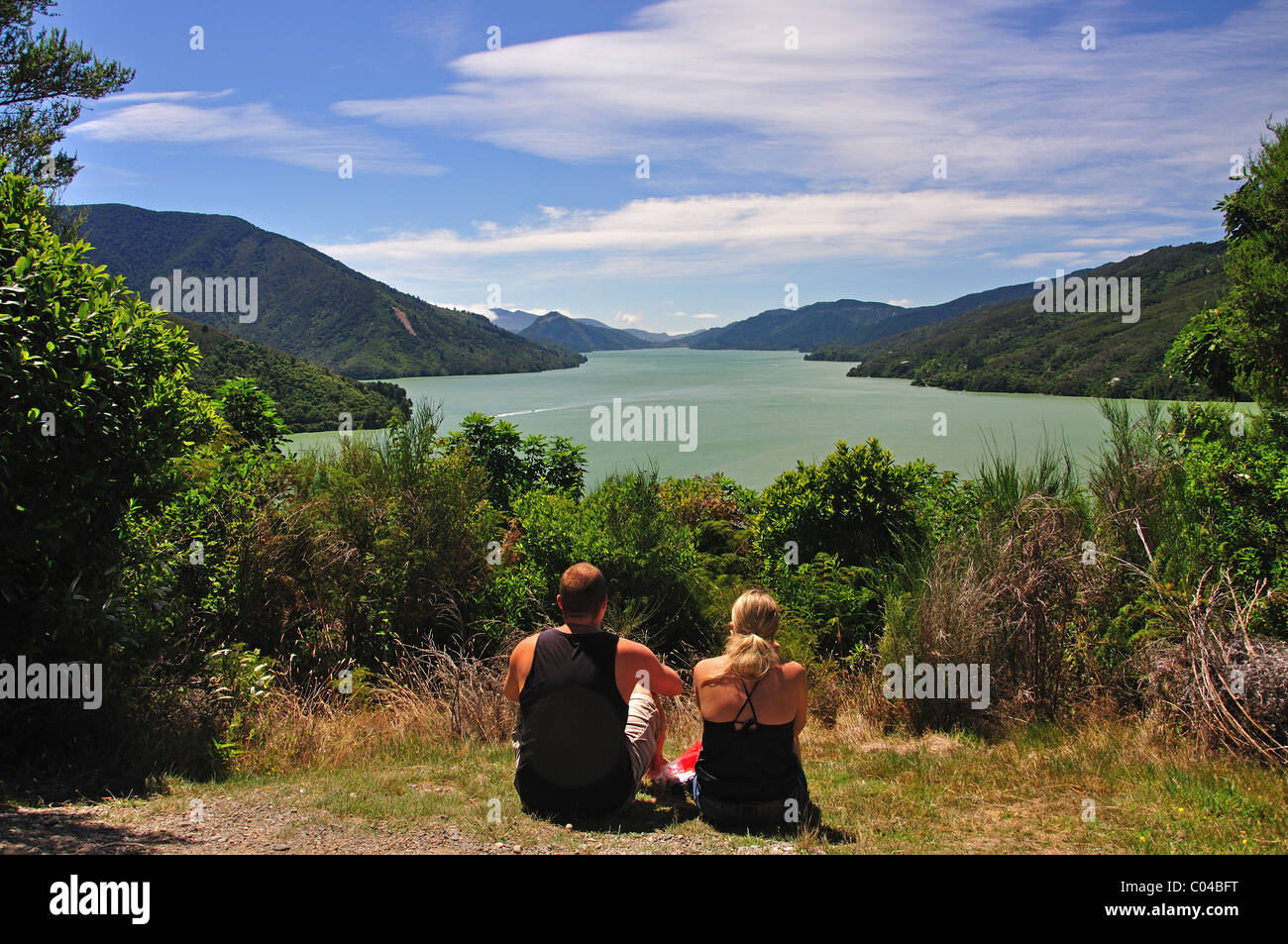 Blick auf den Mahau Sound vom Cullen Point Lookout, Queen Charlotte Drive, Marlborough Sounds, Marlborough Region, South Island, Neuseeland Stockfoto
