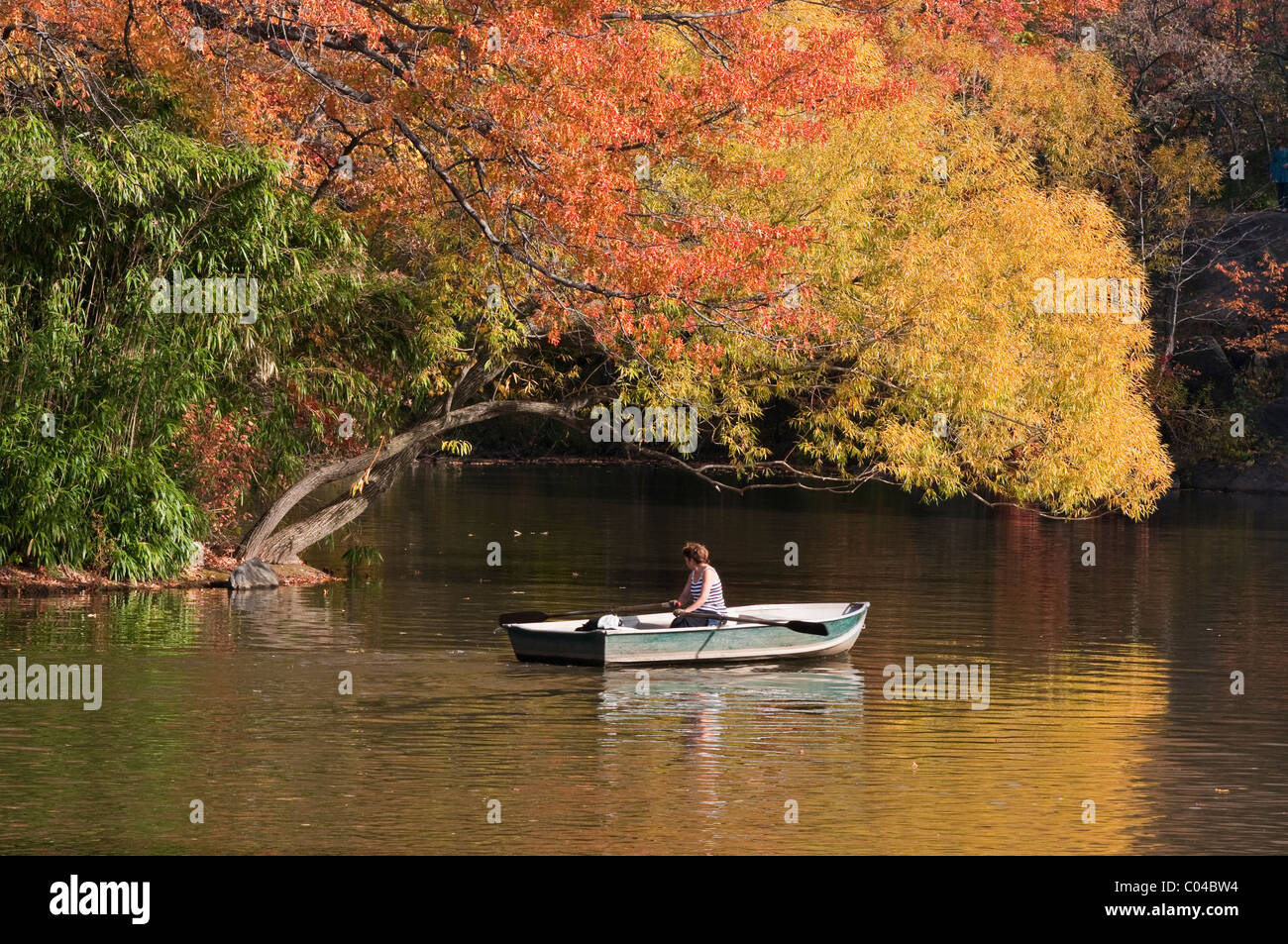 Frau, Rudern auf dem See im Central Park, November 2010 Stockfoto