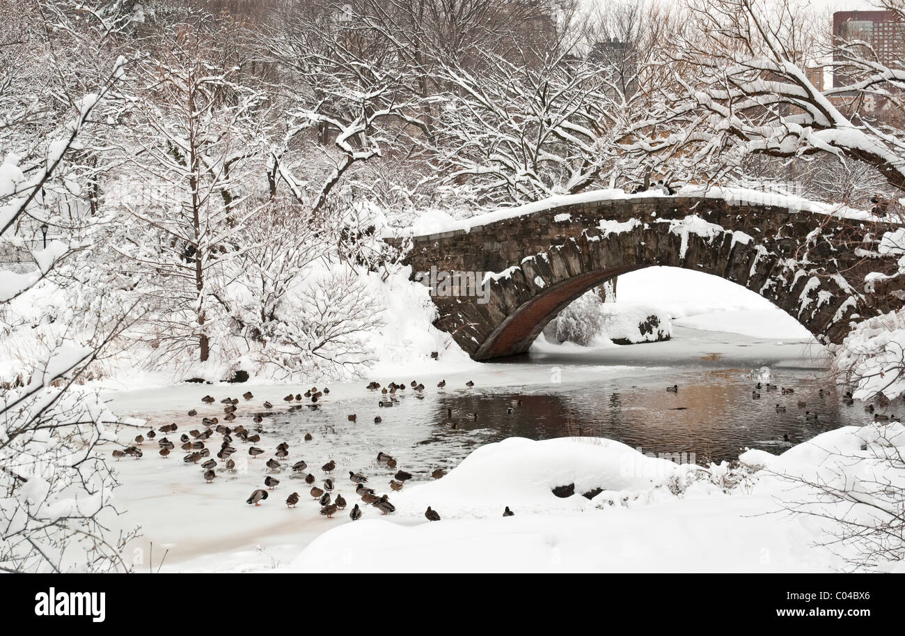 Gapstow Brücke im Central Park, New York City nach einem Schneesturm Stockfoto