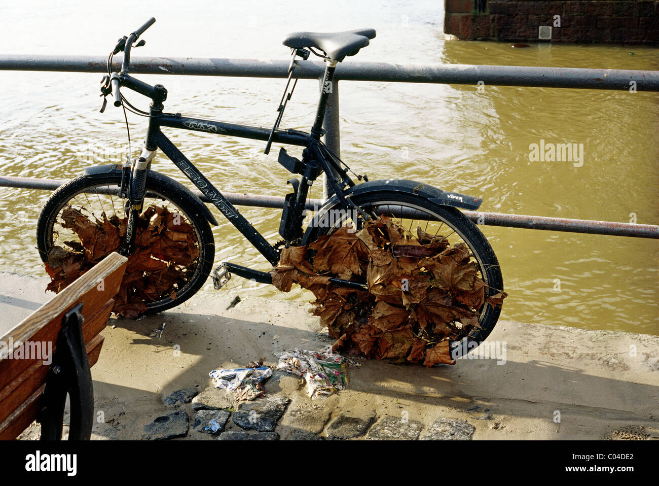 Fahrrad, das 10 Tage verbracht hat untergetaucht Eiserner Steg in die Fluten des Mains in der deutschen Stadt Frankfurt. Stockfoto