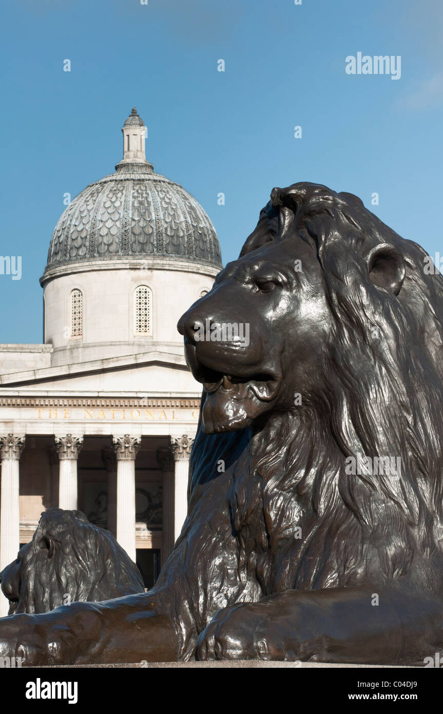Löwe der Trafalgar Square, London, England Stockfoto