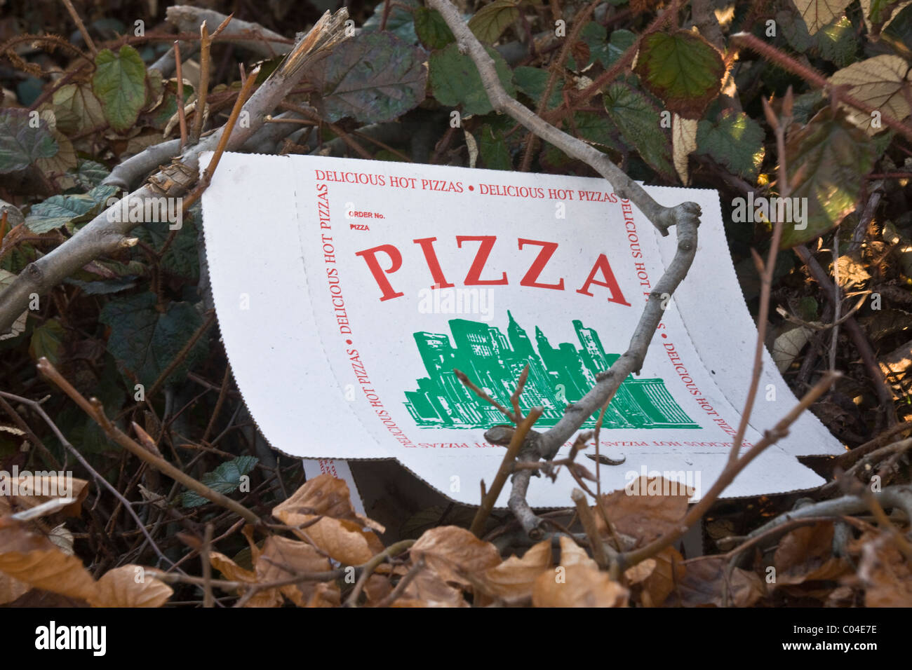 Eine weggeworfene Pizza Karton littering einer Hecke in Catterick Garrison, North Yorkshire Stockfoto