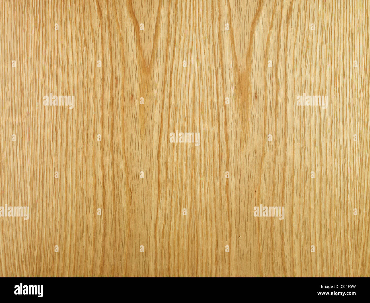 Helle Eiche Holzmaserung Tischplatte Stockfoto