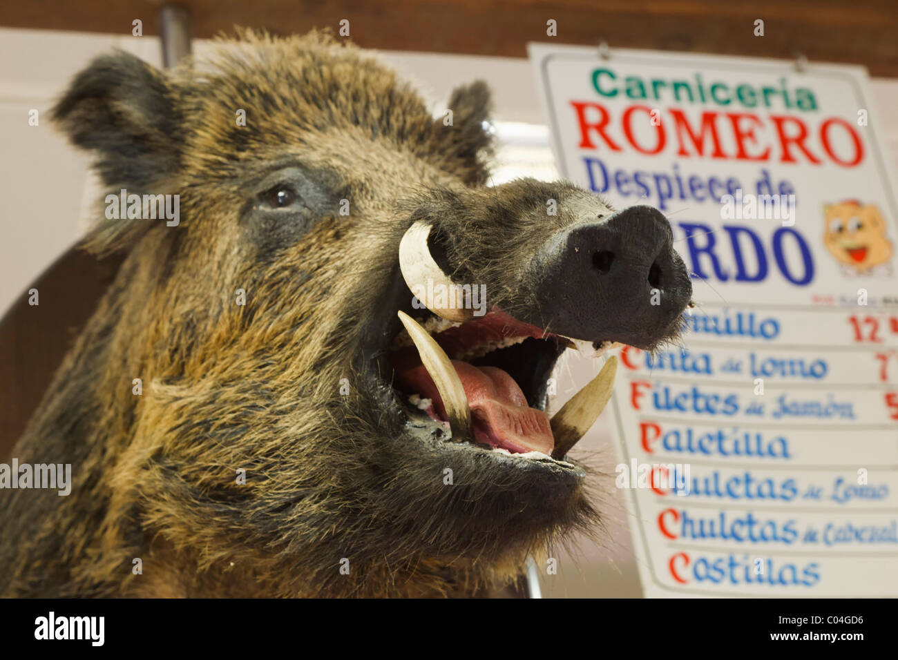 Ausgestopften Wildschwein Kopf an Metzgerei Stand in der Markthalle. Los Boliches, Fuengirola, Spanien Stockfoto