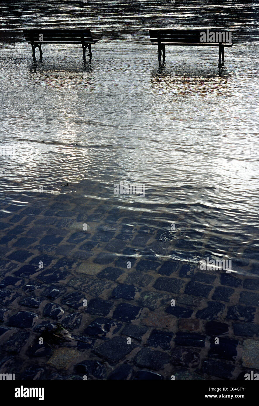 Schmelzender Schnee im Süden hat des Mains zu Schwellen und überfluten die Uferpromenade in Frankfurt Am Main verursacht. Stockfoto