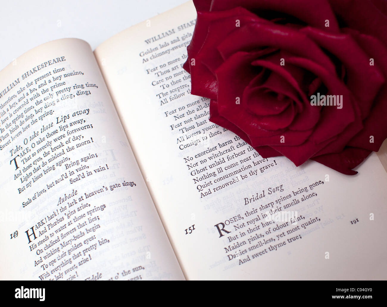 William Shakespeare Vers und rote Rose, London Stockfoto