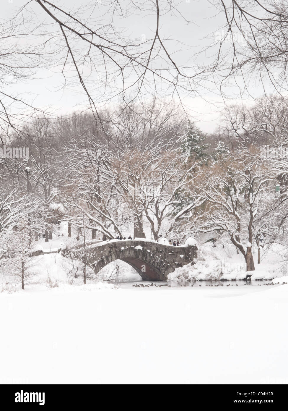 Schneesturm, Gapstow Brücke, Teich, Central Park, New York Stockfoto