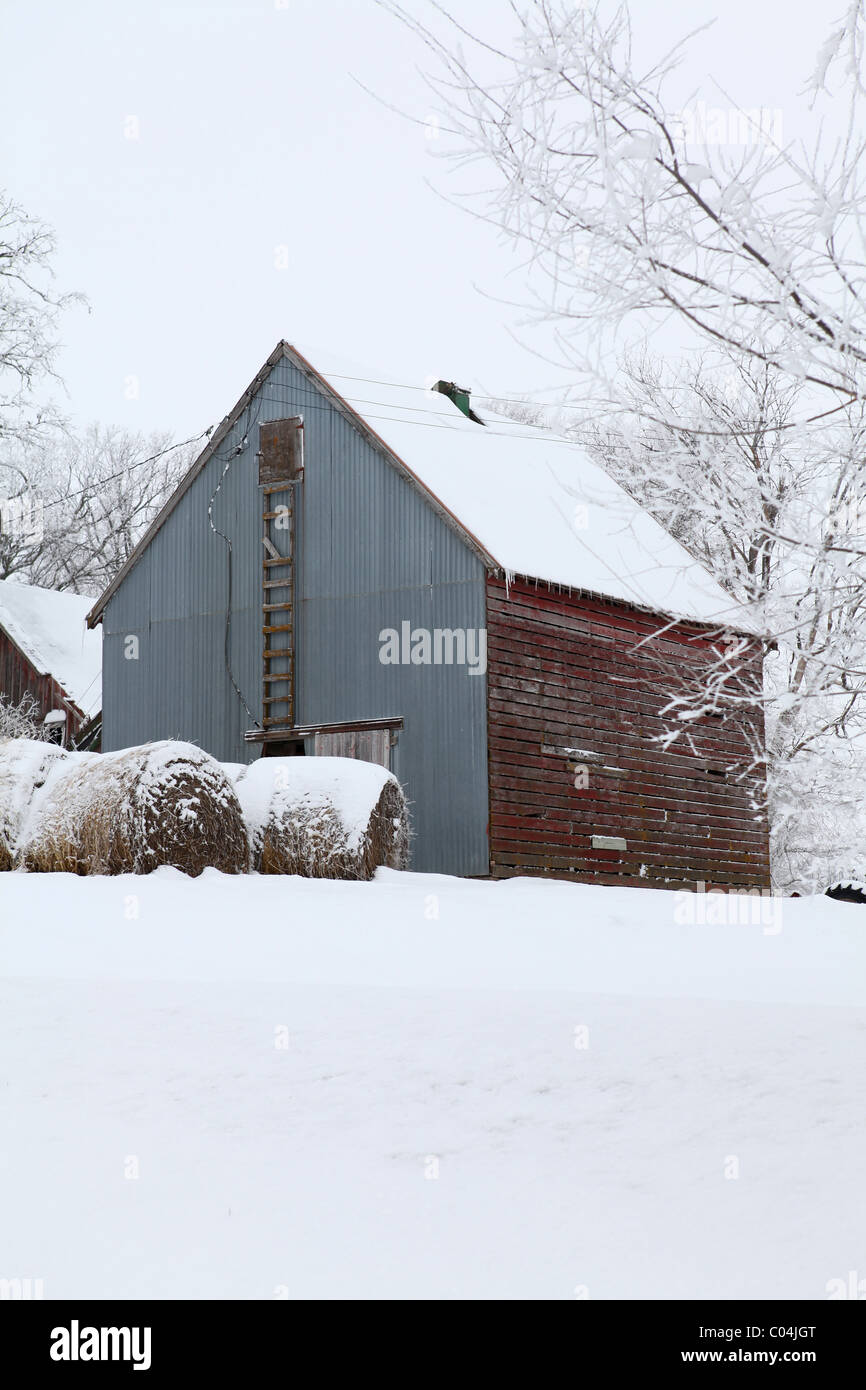 Alten Mais Krippe Scheune und Runde Heuballen auf Farm in Iowa mit Zinn und Holz Abstellgleis. Iowa Stockfoto