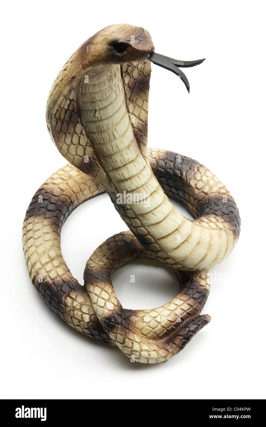 Cobra Snake Cut Out Stockfotos und bilder Kaufen Alamy